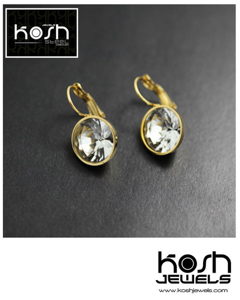 EURO STEEL DROP EARRINGS