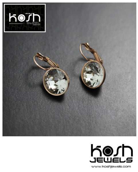 EURO STEEL DROP EARRINGS