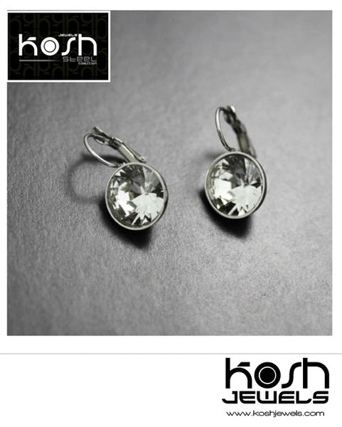 EURO STEEL DROP EARRINGS